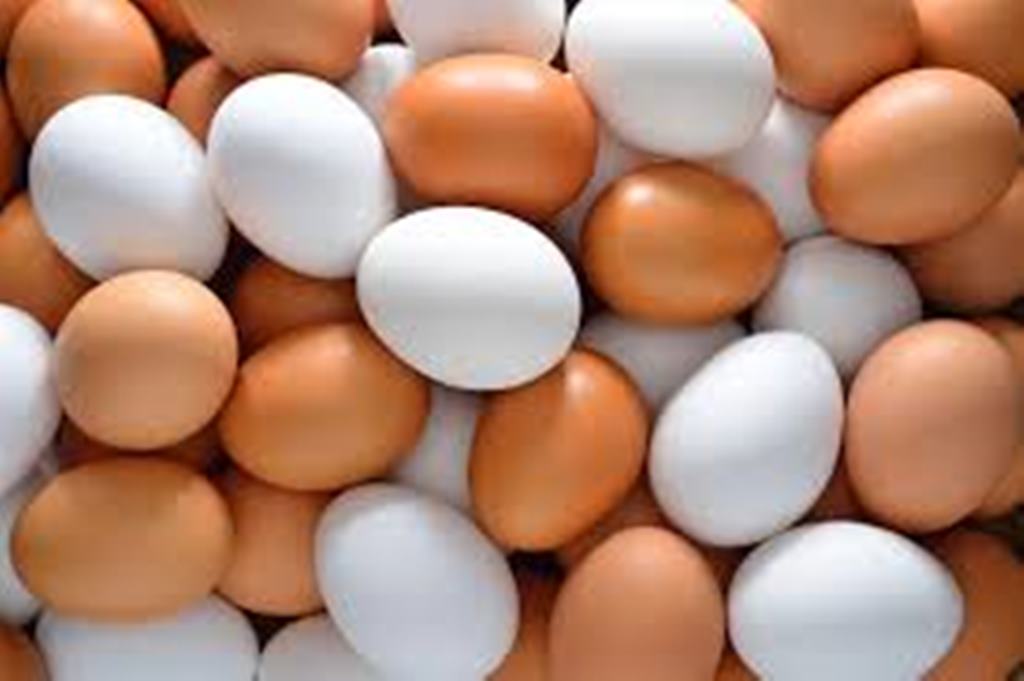 Farm Fresh Chicken Egg White and Brown Size 40g_50g_60g_65g